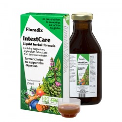 INTESTCARE SALUS JARABE 250 ML