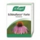 ECHINAFORCE FORTE comp. 30