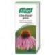 ECHINAFORCE gotas ml 100